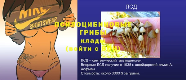 ПСИЛОЦИБИНОВЫЕ ГРИБЫ Балахна