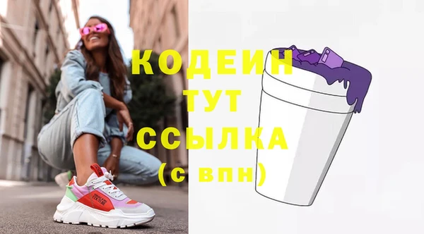 индика Балабаново