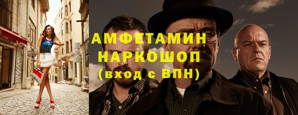 индика Балабаново
